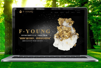 ˫Ѽɽ�������ﱦʯ